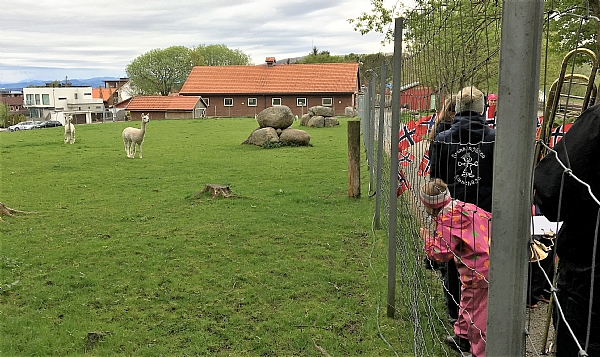 Det er landligt p Gausel